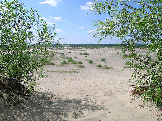 Polska Sahara - Pustynia Bdowska