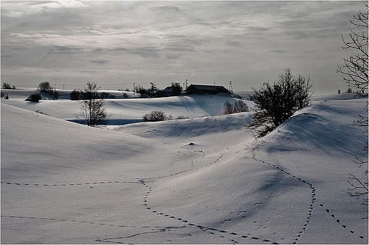 Przy drodze do Wiajn.