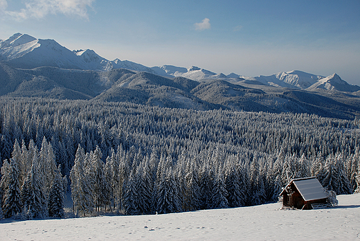 Polana Godwka - widok na Tatry