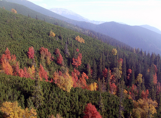 Jesienna impresja tatrzaska. Tatry Zachodnie