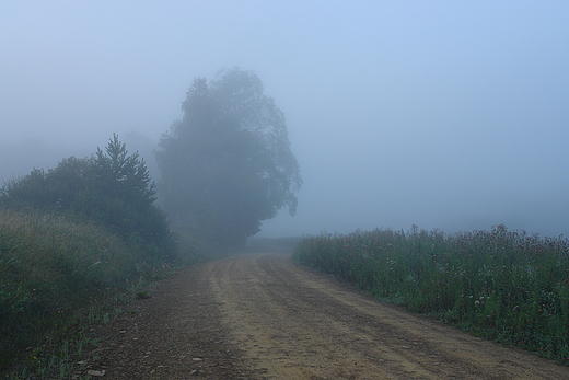 Poranek na Dugiem