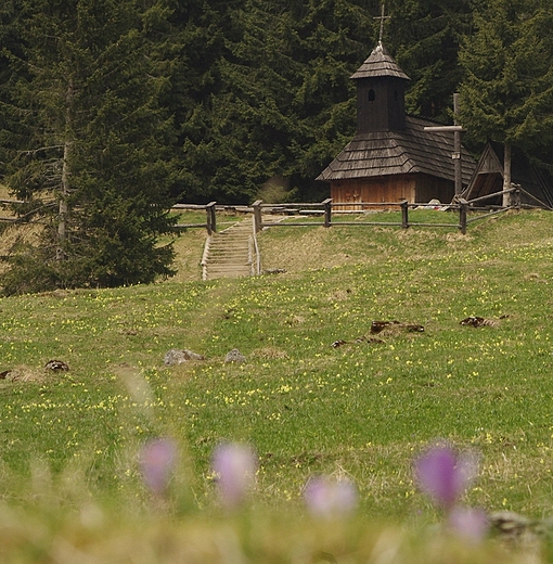 Tatry