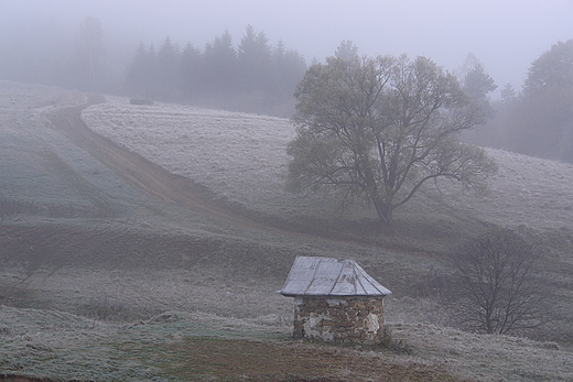 Oszronione Czarne