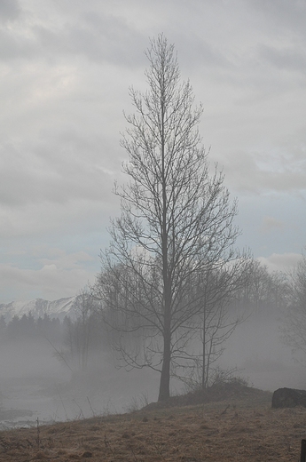 Białka Tatrzańska we mgle