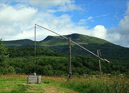 Tarnica