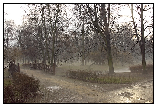 Kalisz - Park Miejski, zamglone alejki parkowe