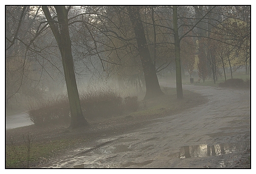 Kalisz - Park Miejski, zamglone alejki parkowe