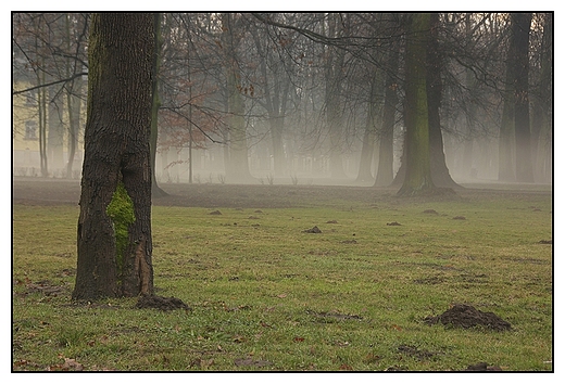 Kalisz - Park Miejski, krajobraz o poranku