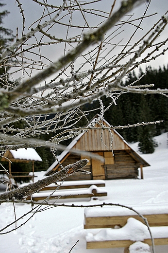 Dolina Kocieliska