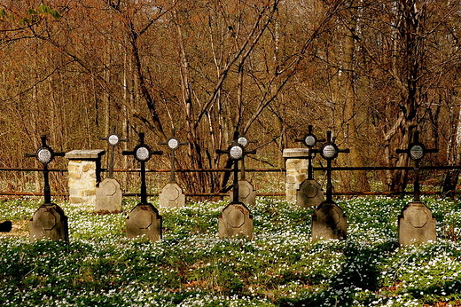 Zagubiony cmentarz wojeny