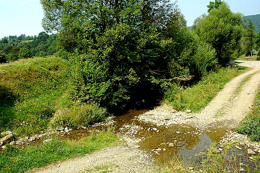 Potok w Olchowcu