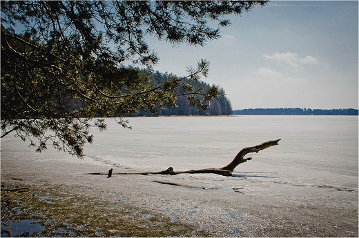 Jezioro Wigry - Zatoka Supiaska.