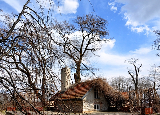 Architektura w parku w Tomaszowicach