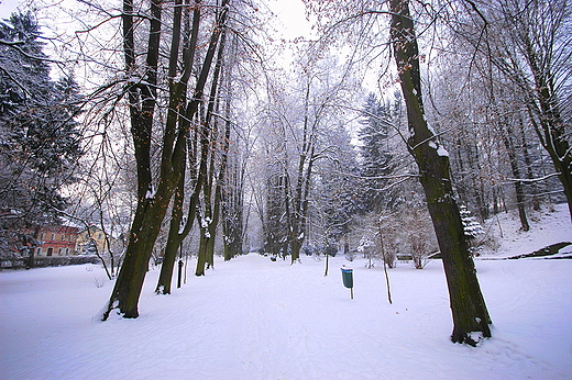 W sanatoryjnym parku. Dugopole Zdrj