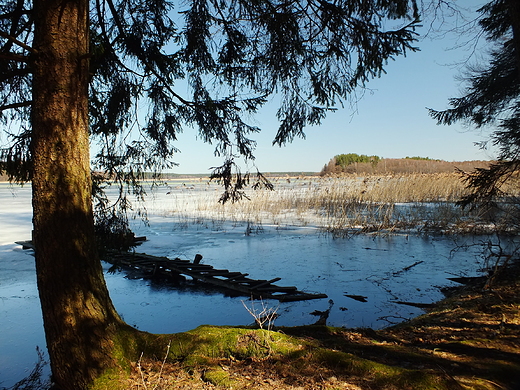 Jezioro Wigry, widok z pkolic Bryzgla