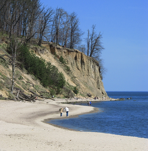 Gdynia Orowo - klif  fot. 24-04-2013 r