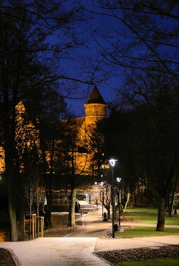 Zamek Olsztyski
