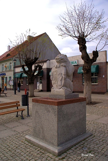 Rynek po rewitalizacji.