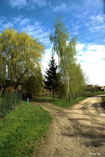 Budzca si wiosna w Rzepotowicach.