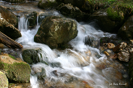 Dolina Kocieliska