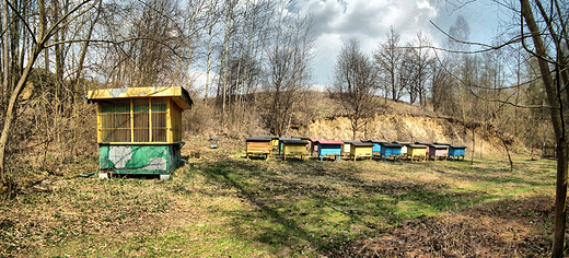 Pasieka w Dzierzkowicach Podwody