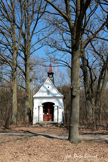 Granica, kapliczka lenikw