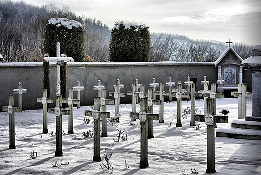 Czerna - cmentarz na terenie klasztoru