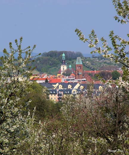 Majowe podgldanie Trzebnicy.