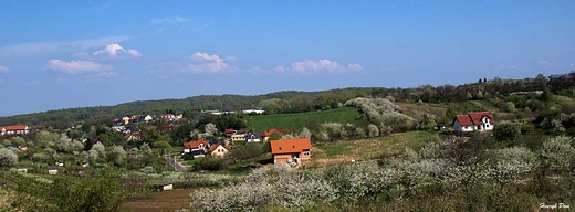 Panorama Trzebnicy