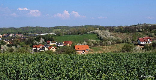 Panorama Trzebnicy