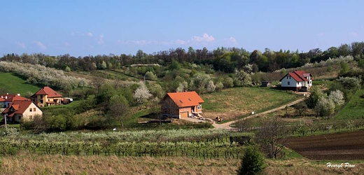 Panorama Trzebnicy