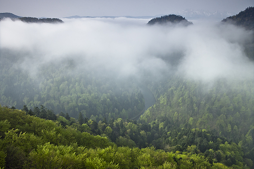 Widok z przeczy Sosnw