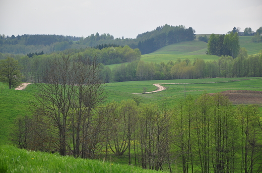 Okolice Wodziek