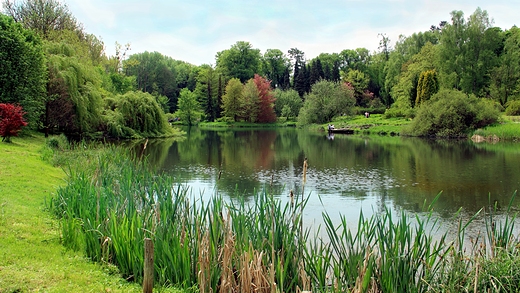 wiosenny OGRD DENDROLOGICZNY PRZELEWICE