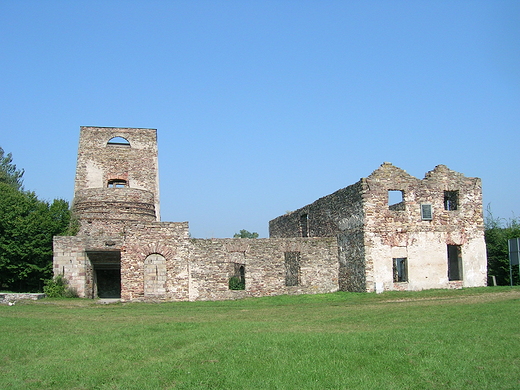 Ruiny Huty w Samsonowie.