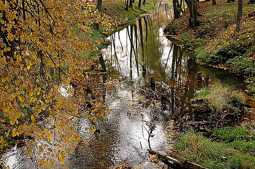 W zakolach Czarnej Staszowskiej