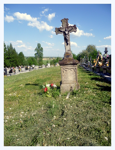 na cmentarzu w Rogach