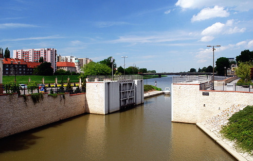 Opole. luza na Mynwce przy mocie katedralnym.