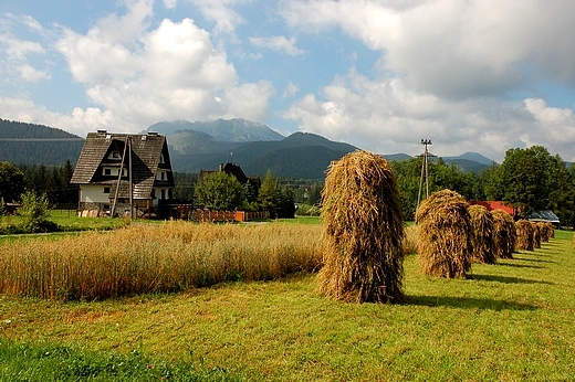 Kocieliskie widoki