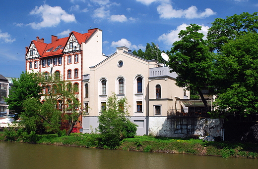 Opole. Stara Synagoga widziana znad Mynwki.