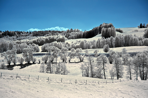 IR_Wodziłki