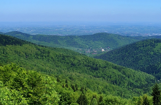 Szlak na Leskowiec