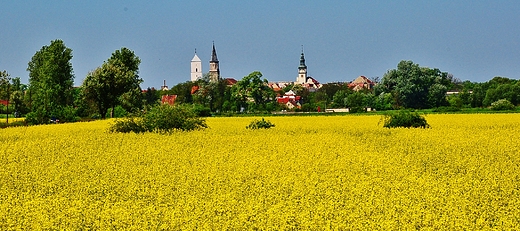 Panorama Bytomia Odrzaskiego