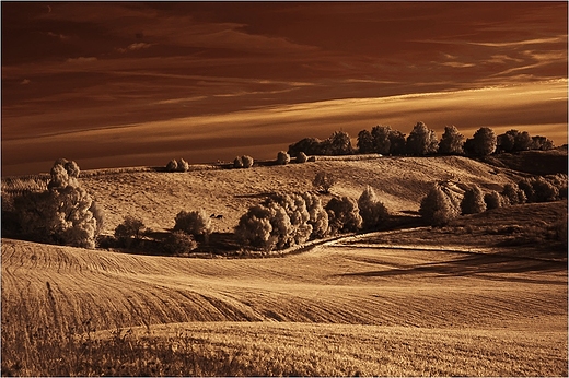 Okolice Szurpi.Fotografia infrared.