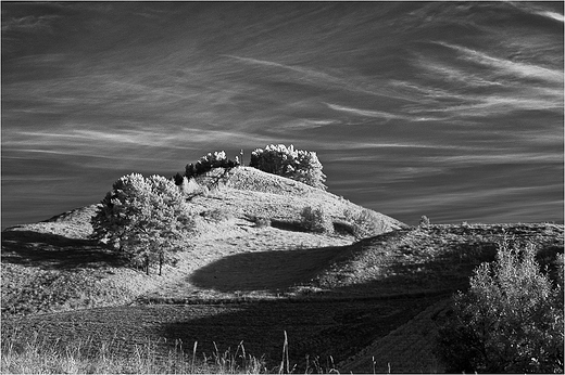 Cisowa Gra.Fotografia infrared.