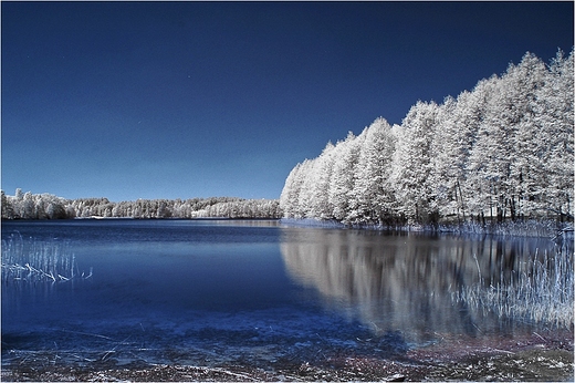 Majowe zdjcie jeziora Mulaczysko.Fotografia infrared.