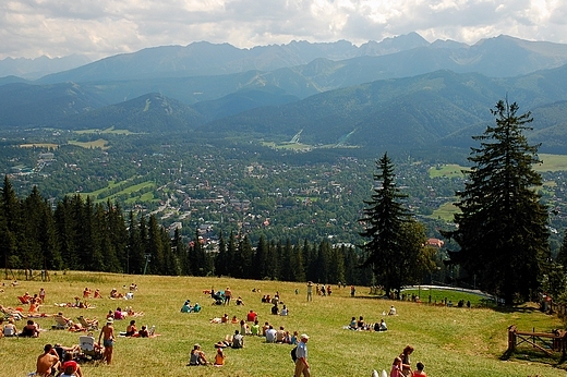 Widok z Gubawki na Zakopane