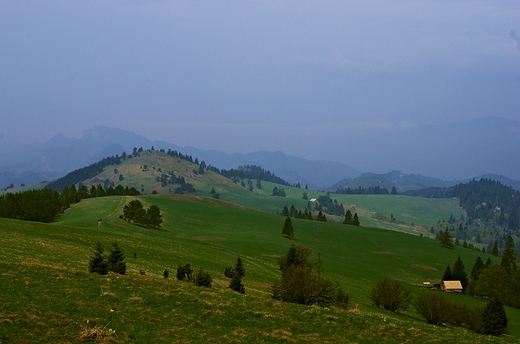 Rejon Wysokich Skaek