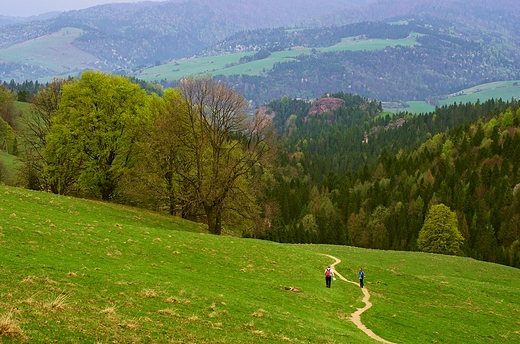 szlak Wwz Homole - Wysoka