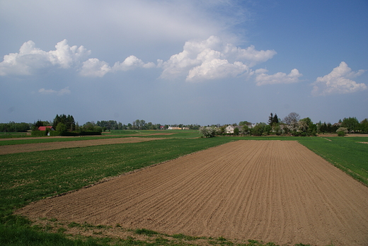 Widok na pola w Brzostkowie